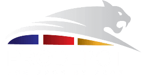 Predepot