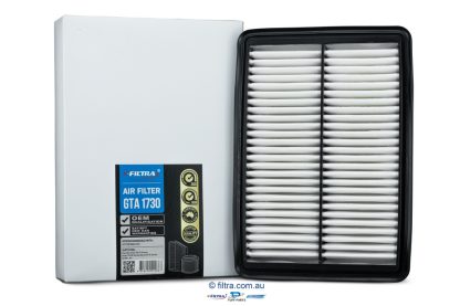 Air Filters - GTA1730